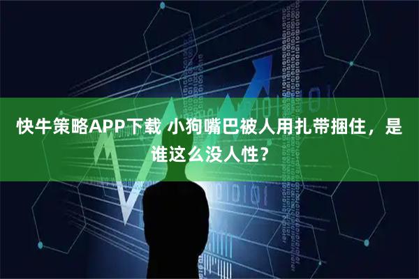 快牛策略APP下载 小狗嘴巴被人用扎带捆住，是谁这么没人性？