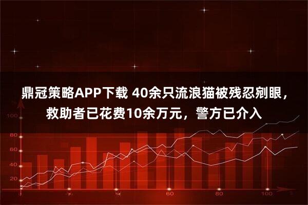 鼎冠策略APP下载 40余只流浪猫被残忍剜眼，救助者已花费10余万元，警方已介入