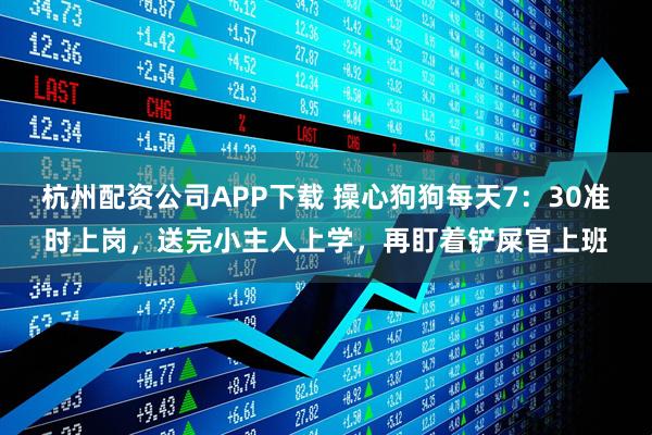 杭州配资公司APP下载 操心狗狗每天7：30准时上岗，送完小主人上学，再盯着铲屎官上班