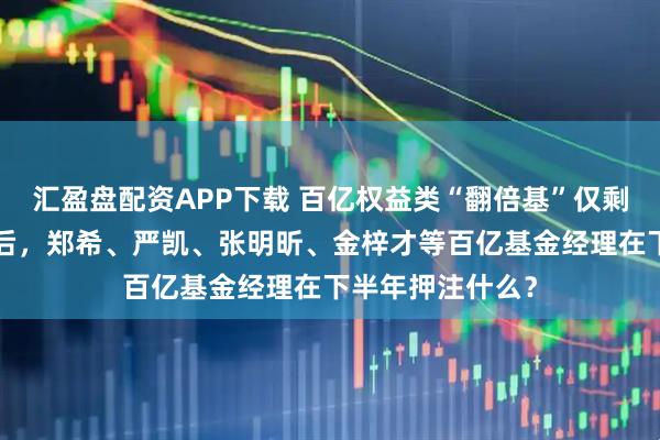 汇盈盘配资APP下载 百亿权益类“翻倍基”仅剩4只，大回撤过后，郑希、严凯、张明昕、金梓才等百亿基金经理在下半年押注什么？